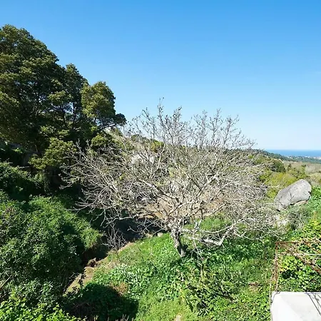 Casa vacanze House With 2 Bedrooms In Colares With Terrace And Wifi